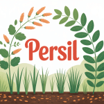 cycle de vie du persil illustration le persil repousse t il l'année suivante
