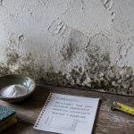 comment enlever l'humidité sur un mur avec vinaigre et bicarbonate