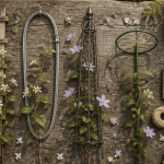 Supports plante grimpante et outils de jardinage