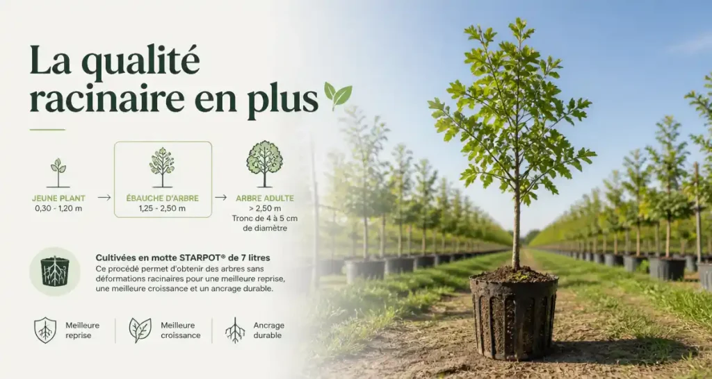 « La qualité racinaire en plus »