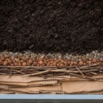 Que mettre au fond d’un carré potager : carton, drainage, erreurs à éviter