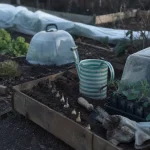 Que planter en mars au potager : semis et jeunes plants sous abri, à protéger du gel